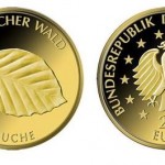 20-Euro-Goldmünze Buche Anschnitt