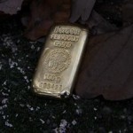 Goldbarren Herbst (Foto-On)