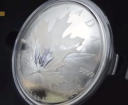 1 Kilo Silber Maple Leaf