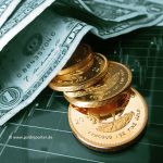 Krüger-Dollar-Grün-Goldreporter