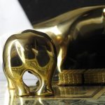 BärPopoQ-Goldreporter