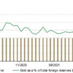 China-Gold-Käufe-020623