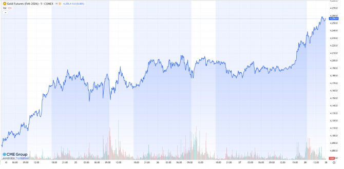 Goldpreis-Chart: 24.11. bis 28.11.2025, US-Gold-Futures (Februar-Kontrakt) Goldpreis-Chart: 24.11. bis 28.11.2025, US-Gold-Futures (Februar-Kontrakt)